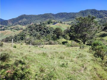 vendo finca en Sonsón Antioquia, aguas cristalinas, bosques, aire puro