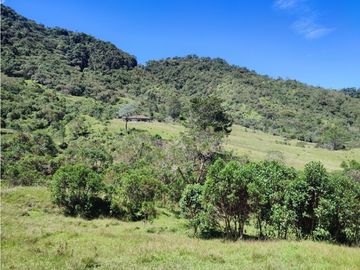 vendo finca en Sonsón Antioquia, aguas cristalinas, bosques, aire puro