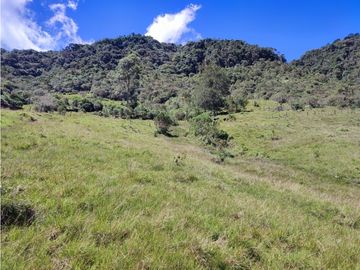 vendo finca en Sonsón Antioquia, aguas cristalinas, bosques, aire puro