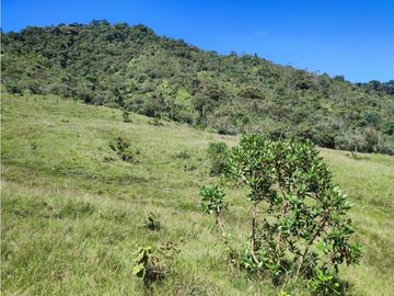 vendo finca en Sonsón Antioquia, aguas cristalinas, bosques, aire puro