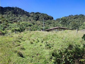 vendo finca en Sonsón Antioquia, aguas cristalinas, bosques, aire puro