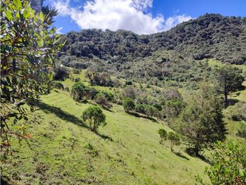 vendo finca en Sonsón Antioquia, aguas cristalinas, bosques, aire puro