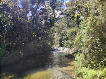 vendo finca en Sonsón Antioquia, aguas cristalinas, bosques, aire puro