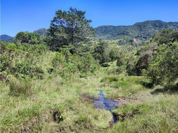vendo finca en Sonsón Antioquia, aguas cristalinas, bosques, aire puro