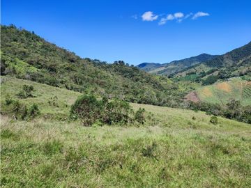 vendo finca en Sonsón Antioquia, aguas cristalinas, bosques, aire puro