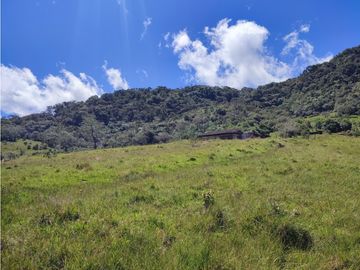 vendo finca en Sonsón Antioquia, aguas cristalinas, bosques, aire puro