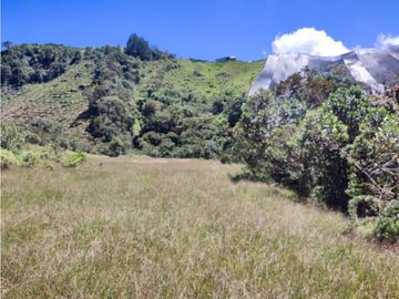 vendo finca en Sonsón Antioquia, aguas cristalinas, bosques, aire puro