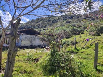 vendo finca en Sonsón Antioquia, aguas cristalinas, bosques, aire puro