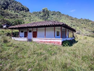 vendo finca en Sonsón Antioquia, aguas cristalinas, bosques, aire puro