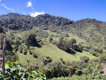 vendo finca en Sonsón Antioquia, aguas cristalinas, bosques, aire puro