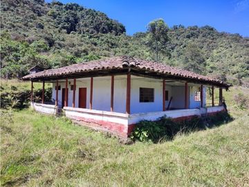 vendo finca en Sonsón Antioquia, aguas cristalinas, bosques, aire puro
