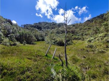 vendo finca en Sonsón Antioquia, aguas cristalinas, bosques, aire puro