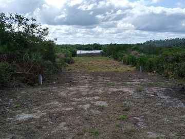 Terreno en San Benito, Yucatán, Cerca del Mar