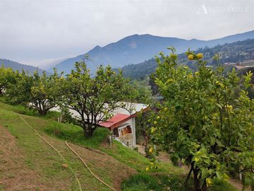 Parcela en Venta en Camino quebrada el Carrizo (F-678), cercano a quebrada de Alvarado, Olmué