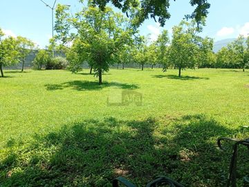 Quinta Terreno en venta en Los Laureles Montemorelos Nuevo Leon Allende Carretera Nacional Santiago