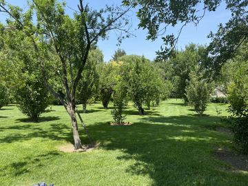 Rancho en Venta en Santiago Tlautla, Hidalgo