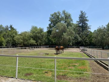 Rancho en Venta en Santiago Tlautla, Hidalgo