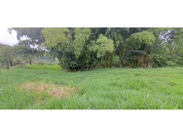 SE VENDE FINCA EN FREDONIA