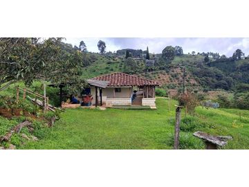 SE VENDE FINCA EN FREDONIA