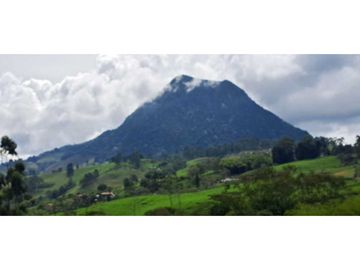 SE VENDE FINCA EN FREDONIA