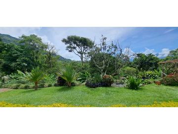 SE VENDE FINCA EN FREDONIA