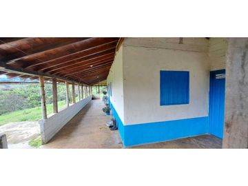SE VENDE FINCA EN FREDONIA