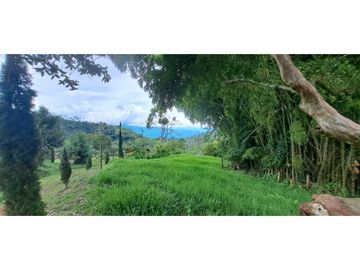 SE VENDE FINCA EN FREDONIA