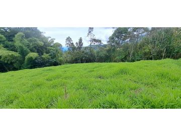 SE VENDE FINCA EN FREDONIA