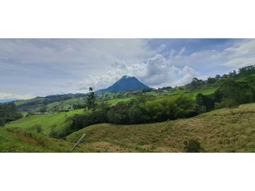 SE VENDE FINCA EN FREDONIA