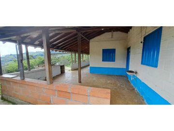 SE VENDE FINCA EN FREDONIA