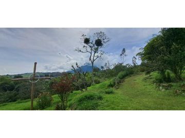 SE VENDE FINCA EN FREDONIA