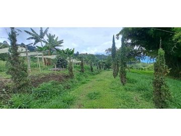 SE VENDE FINCA EN FREDONIA