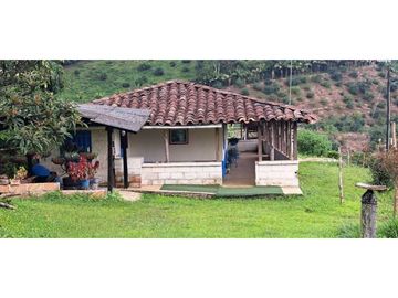 SE VENDE FINCA EN FREDONIA