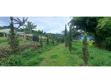 SE VENDE FINCA EN FREDONIA