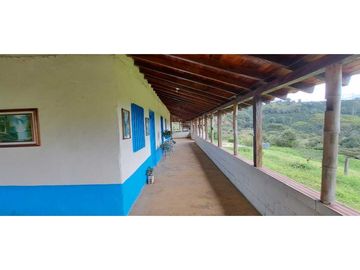 SE VENDE FINCA EN FREDONIA