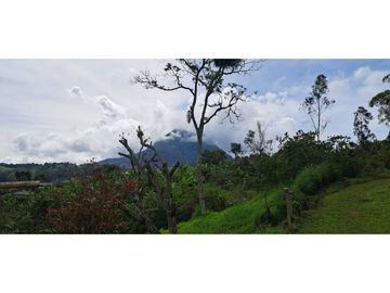 SE VENDE FINCA EN FREDONIA