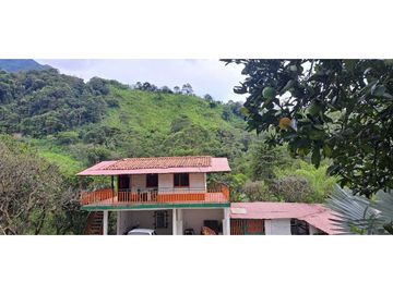 VENDO CASA FINCA EN VIA VENECIA