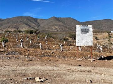 Agrícola en Venta en Peralillo Cruce Limahuida
