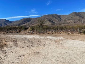 Agrícola en Venta en Peralillo Cruce Limahuida