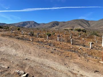Agrícola en Venta en Peralillo Cruce Limahuida