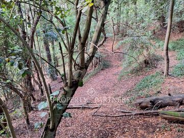 Barrio Universitario, amplio terreno para desarrollo