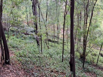 Barrio Universitario, amplio terreno para desarrollo