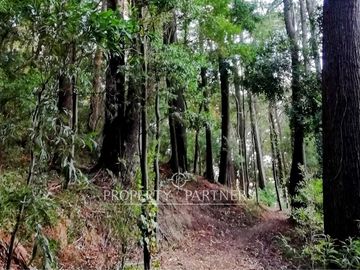 Barrio Universitario, amplio terreno para desarrollo