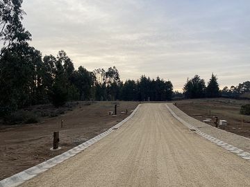 EL MÉDANO