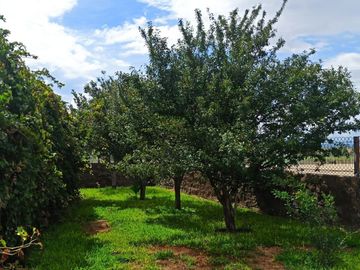 Quinta Campestre en Venta, en colonia Valle de Mimbre, Ramos Arizpe, Coahuila