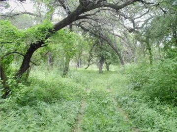 VENTA DE ESTANCIA EL PORVENIR- 200 HAS, J.CASTELLI -PROVINCIA DE CHACO