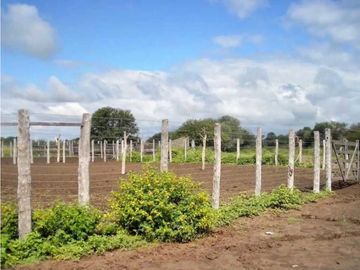 VENTA DE ESTANCIA EL PORVENIR- 200 HAS, J.CASTELLI -PROVINCIA DE CHACO