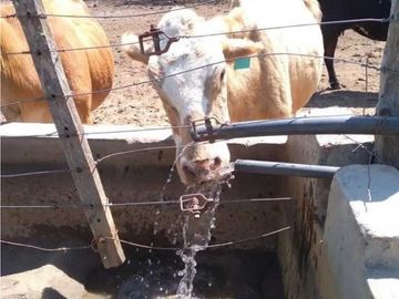 VENTA DE ESTANCIA EL PORVENIR- 200 HAS, J.CASTELLI -PROVINCIA DE CHACO