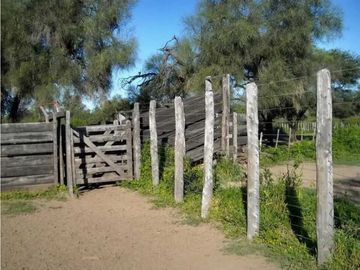 VENTA DE ESTANCIA EL PORVENIR- 200 HAS, J.CASTELLI -PROVINCIA DE CHACO