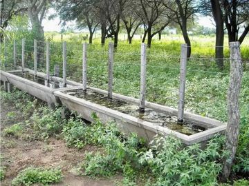 VENTA DE ESTANCIA EL PORVENIR- 200 HAS, J.CASTELLI -PROVINCIA DE CHACO